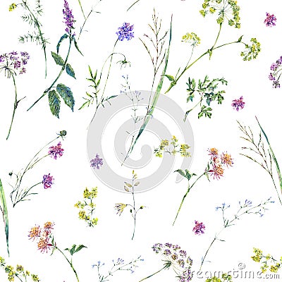 Watercolor summer wildflowers seamless pattern Cartoon Illustration