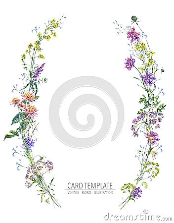 Watercolor summer wreath of wildflowers Botanical colorful illustration Cartoon Illustration