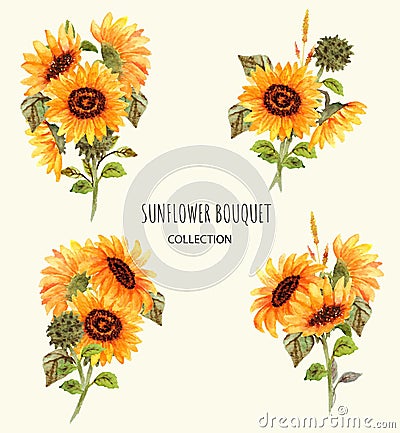 watercolor sunflower bouquet collection Vector Illustration