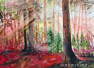 Watercolor sunlit red forest with tall spruces, firs and pines Stock Photo