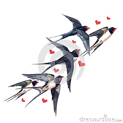 Watercolor swallow bird composition Stock Photo