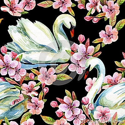Watercolor swan and cherry bloom Cartoon Illustration