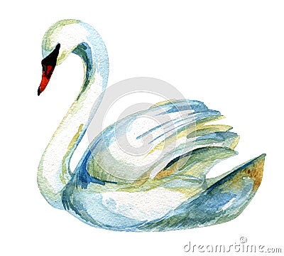 Watercolor swan. Cartoon Illustration