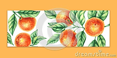 Watercolor tangerine hand drawn food label Stock Photo