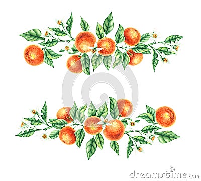 Watercolor tangerine round hand drawn wreath Cartoon Illustration