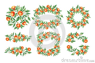 Watercolor tangerine set of hand-drawn wreath Cartoon Illustration