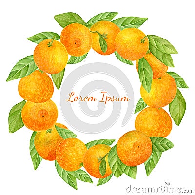 Watercolor tangerines with leaves wreath. Hand painted round citrus frame isolated on white background. Bright orange fruits. Stock Photo