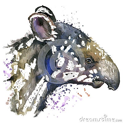 Watercolor tapir cub. Cartoon Illustration