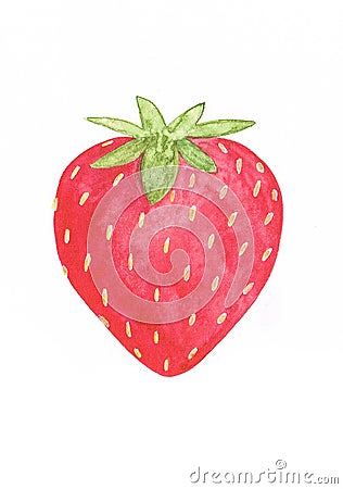 Watercolor tasty and ripe red strawberry Stock Photo