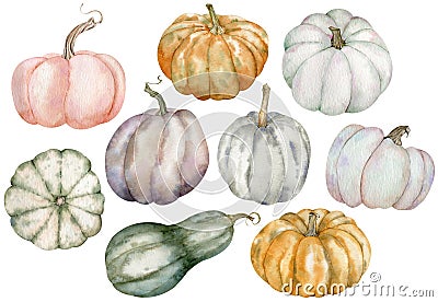 Watercolor thanksgiving pumpkin clipart. Hand-drawn colorful pumpkins - pink, grey, orange, green. Set of vegetables Stock Photo