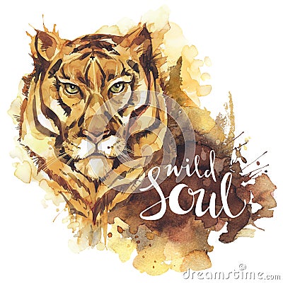 Watercolor tiger with handwritten words Wild Soul. African animal. Wildlife art illustration. Can be printed on T-shirts Cartoon Illustration