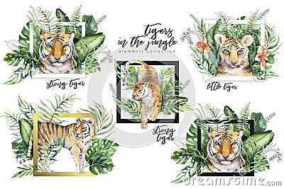 Watercolor tiger illustration and summer paradise tropical leaves jungle print with frame. Palm plant and flower Cartoon Illustration