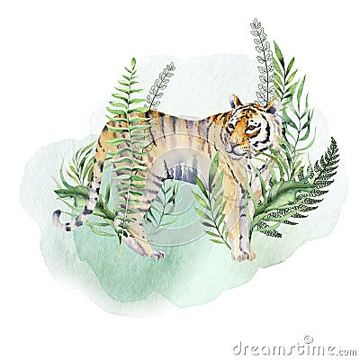 Watercolor tiger illustration and summer paradise tropical leaves jungle print. Palm plant and flower isolated o white. Cartoon Illustration