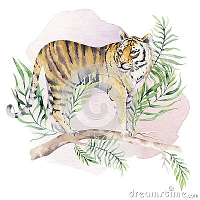 Watercolor tiger illustration and summer paradise tropical leaves jungle print. Palm plant and flower isolated o white. Cartoon Illustration