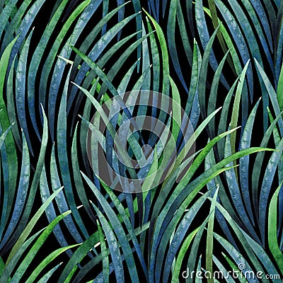 Watercolor tillandsia cyanea pattern Stock Photo