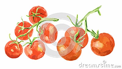 Watercolor tomatoes set. Vector Illustration