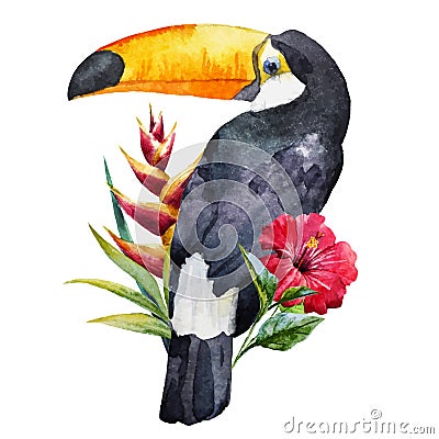 Watercolor toucan Vector Illustration