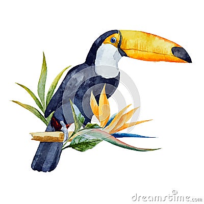 Watercolor toucan Vector Illustration