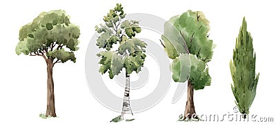 Watercolor tree forest oak fir birch, thuja linden baobab pine isolated illustrations Cartoon Illustration