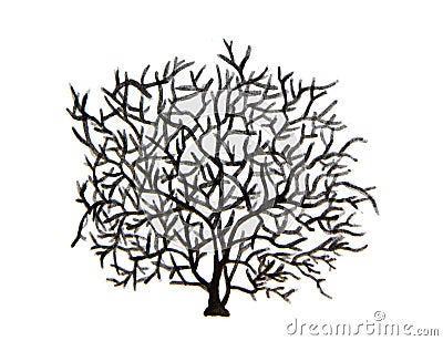 Watercolor tree. Tree without leaves Stock Photo