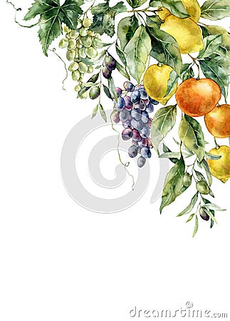 Watercolor tropical border of ripe lemons, olive, oranges, grapes and leaves. Hand painted branch of fresh fruits Cartoon Illustration