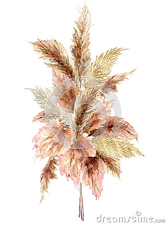 Watercolor tropical bouquet with dry pampas grass and gold textures. Hand painted exotic card isolated on white Cartoon Illustration