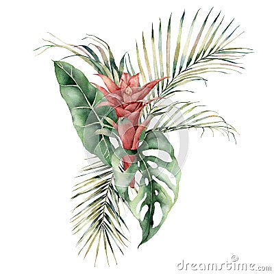 Watercolor tropical bouquet with guzmania, palm and monstera leaves. Hand painted card with red flowers and leaves Cartoon Illustration