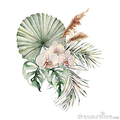 Watercolor tropical bouquet with orchids and palm leaves. Hand painted flowers, coconut and monstera leaves, pampas Cartoon Illustration