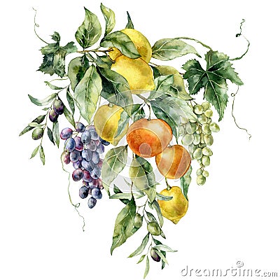 Watercolor tropical bouquet of ripe lemons, oranges, grapes and leaves. Hand painted branch of fresh fruits isolated on Cartoon Illustration