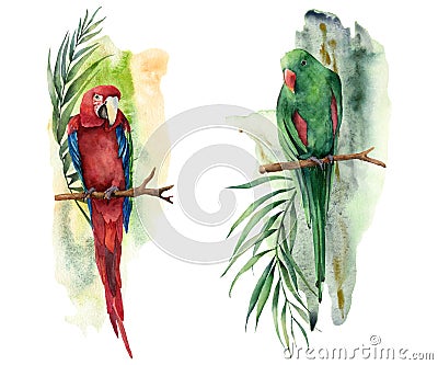 Watercolor tropical composition with parrots. Hand painted red and green macaw, palm and banana branch isolated on white Stock Photo