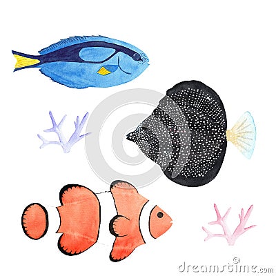watercolor tropical fishes. clown fish, dory fish, gemma tang, tang, coral, fauna. For decoration, design, poster, postcard, Stock Photo