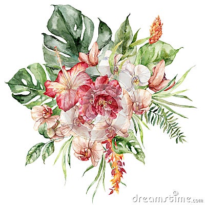 Watercolor tropical flowers bouquet of hibiscus, orchid, etlingera and monstera. Hand painted floral poster isolated on Stock Photo