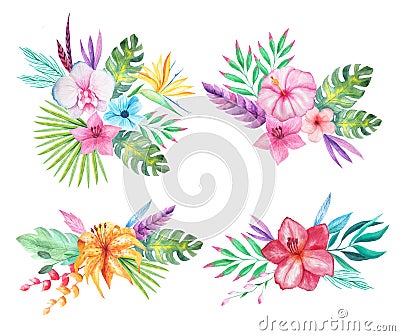 Watercolor tropical flowers, leaves and plants Stock Photo