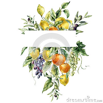 Watercolor tropical frame of ripe lemons, olive, oranges, grapes and leaves. Hand painted branch of fresh fruits Cartoon Illustration