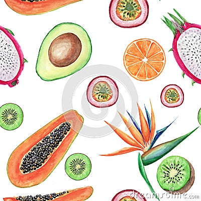 Watercolor tropical fruits seamless pattern. Hand painted illustrations: avocado, papaya, orange, kiwi, maracuja and strelitzia on Cartoon Illustration