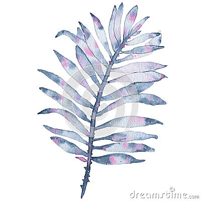 Watercolor tropical hand painted indigo leaf isolated on white background Cartoon Illustration