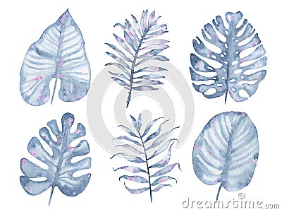 Watercolor tropical hand painted indigo palm tree leaf set isolated on white background Cartoon Illustration