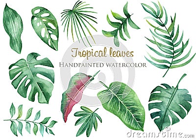 Watercolor tropical leaves and flowers. Stock Photo