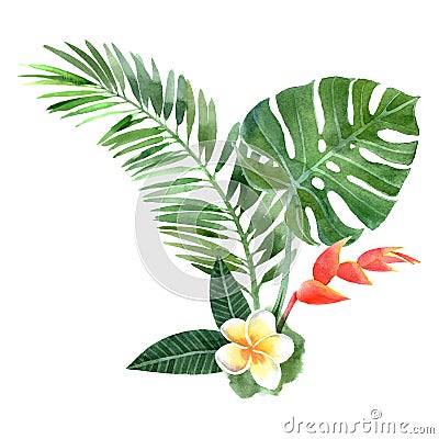Watercolor tropical plants Vector Illustration