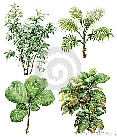 Watercolor tropical plants Stock Photo