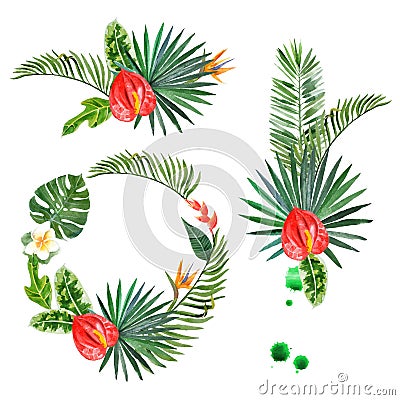 Watercolor tropical plants for your designs Vector Illustration