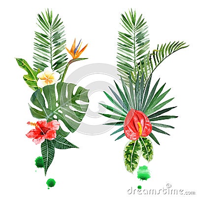 Watercolor tropical plants for your designs Vector Illustration