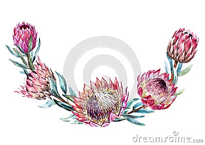 Watercolor tropical protea wreath Vector Illustration