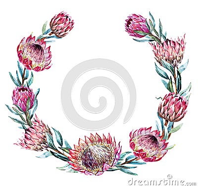 Watercolor tropical protea wreath Vector Illustration