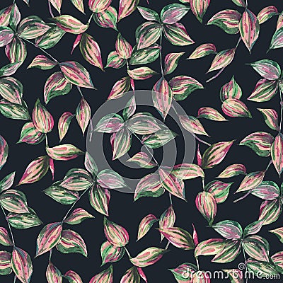 Watercolor tropical seamless pattern with tradescantia twigs Stock Photo