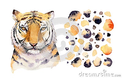 Watercolor tropical tiger animal isolated illustration, wild cat axotic animals. plant monstera, lianas jungle artwork Cartoon Illustration