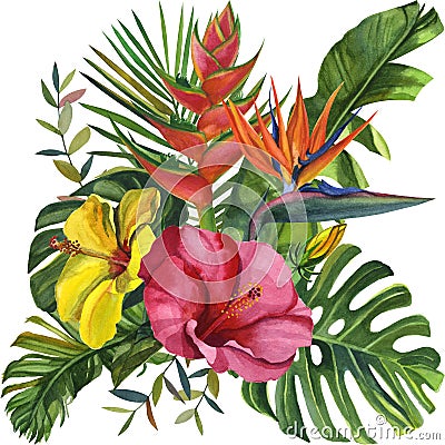 Watercolor tropical wildlife Beautiful cards. Hand Drawn jungle nature, hibiscus flowers illustration Cartoon Illustration