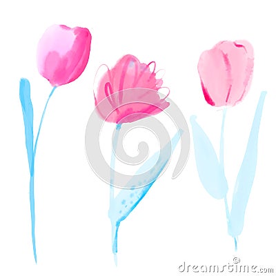 Watercolor tulips set. Hand painted flowers, pink and light blue delicate floral elements Stock Photo