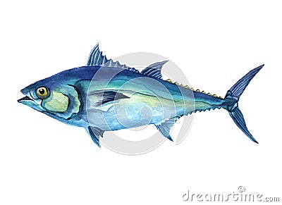 Watercolor Tuna fish isolated on a white background Cartoon Illustration