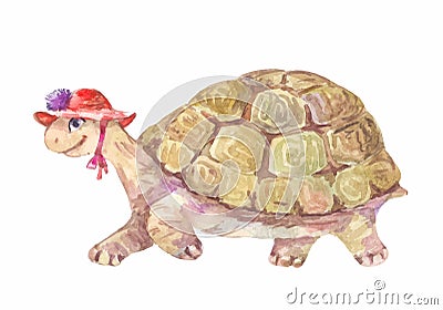 Watercolor turtle, vector illustration Vector Illustration